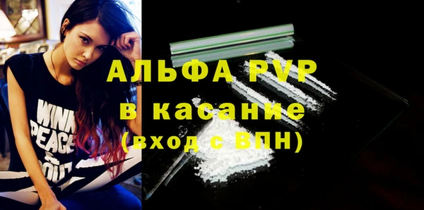 хмурый Абаза