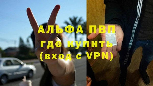хмурый Абаза
