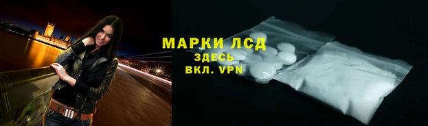 хмурый Абаза