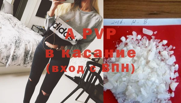 хмурый Абаза