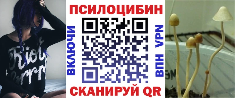 гидра онион  Петров Вал  Псилоцибиновые грибы GOLDEN TEACHER  где можно купить  